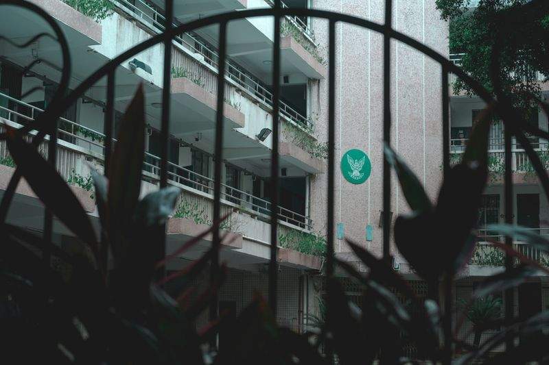 未来教育学院 - Image 15